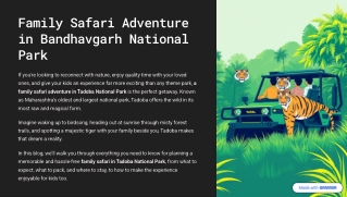 family safari adventure in tadoba national park