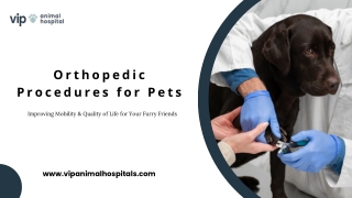 Restore Your Pet’s Mobility with Orthopedic Procedures for Pets