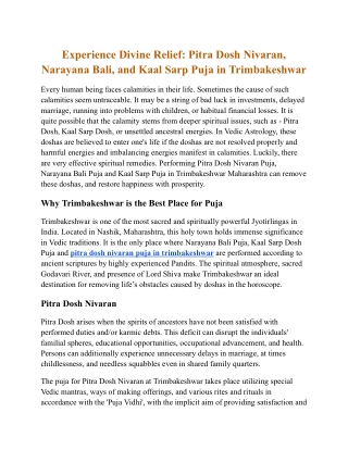 Experience Divine Relief_ Pitra Dosh Nivaran, Narayana Bali, and Kaal Sarp Puja in Trimbakeshwar