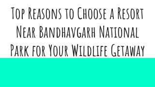 Top Reasons to Choose a Resort Near Bandhavgarh National Park for Your Wildlife Getaway (1)