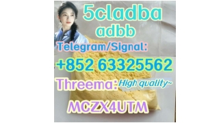 5cl adb 5cladba 5cl raw material supplier