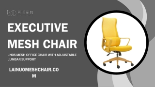 executive mesh chair (2)