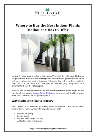 Where to Buy the Best Indoor Plants Melbourne Has to Offer
