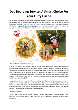 Dog Boarding Service: A Smart Choice For Your Furry Friend