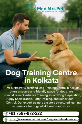 Dog Training Centre in Kolkata