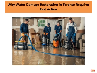 Why Water Damage Restoration in Toronto Requires Fast Action