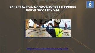 Expert Cargo Damage Survey & Marine Surveying Services