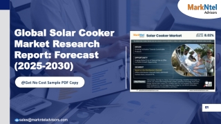 Solar Cooker Market Key Players, Trends and Forecast Report 2030