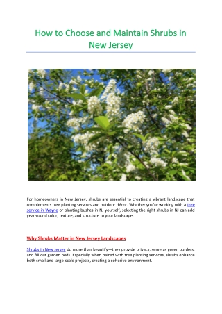 How to Choose and Maintain Shrubs in New Jersey