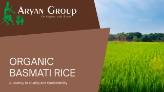 Organic Basmati Rice - Manufacturers, Suppliers & Wholesalers.