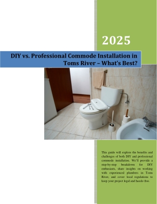 DIY vs. Professional Commode Installation in Toms River – What’s Best