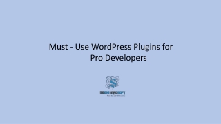 Must - Use WordPress Plugins for pro Developers