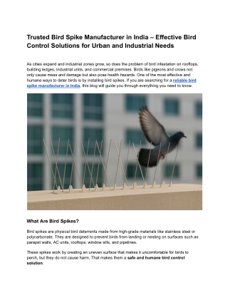 Trusted Bird Spike Manufacturer in India – Effective Bird Control Solutions for Urban and Industrial Needs