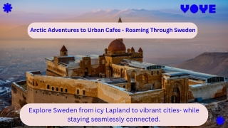 Why Travelers Trust Voye Global in Sweden
