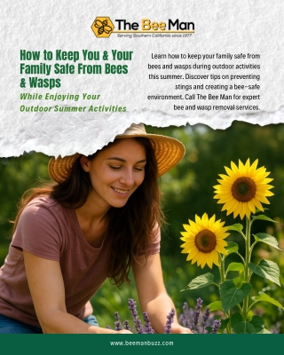 How to Keep You and Your Family Safe From Bees and Wasps While Enjoying Your Outdoor Summer Activities