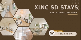 Xlnc Exotic Stays