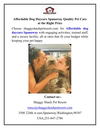 Affordable Dog Daycare Spanaway Quality Pet Care at the Right Price