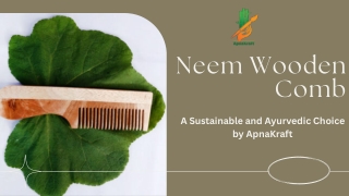 Neem Wooden Comb: Gentle on Hair, Tough on Toxins