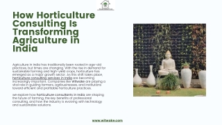 How Horticulture Consulting Is Transforming Agriculture in India