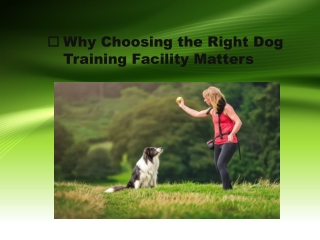 Right Dog Training Facility