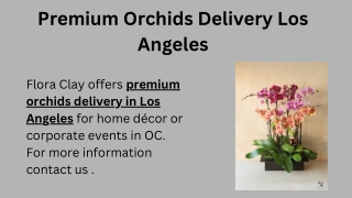 Premium Orchids Delivery Los Angeles