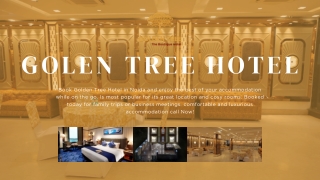 Golden Tree Hotel Rooms – Comfort, Convenience & Style in Noida