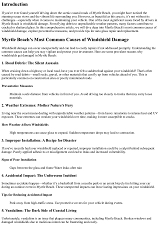 Myrtle Beach’s Most Common Causes of Windshield Damage
