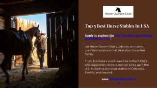 Top 5 Best Horse Stables In USA - horse owner club