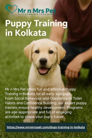 Puppy Training in Kolkata