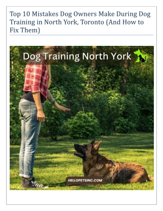 Mistakes Dog Owners Make During Dog Training in North York