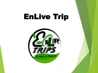 Independence Day Long Weekend