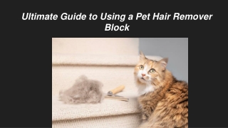 Ultimate Guide to Using a Pet Hair Remover Block