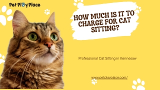 How Much Is It to Charge for Cat Sitting (1)
