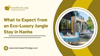 What to Expect from an Eco-Luxury Jungle Stay in Kanha