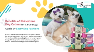 Benefits of Rhinestone Dog Collars for Large Dog