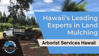 Arborist Services, LLC – Hawaii’s Leading Experts in Land Mulching