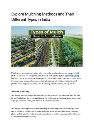Explore Mulching Methods and Their Different Types in India
