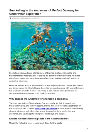 Explore The Best Snorkeling in Andaman - Best Places, Pricing, & Eligibility