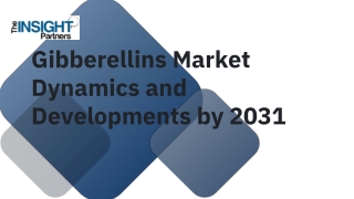 Gibberellins Market Dynamics and Developments by 2031
