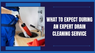 Reliable Drain Block Removal Services