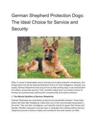 German Shepherd Protection Dogs_ The Ideal Choice for Service and Security