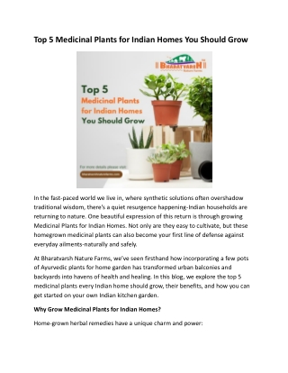 Top 5 Medicinal Plants for Indian Homes You Should Grow