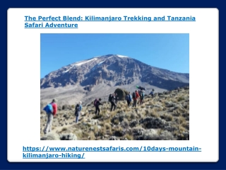 The Perfect Blend - Kilimanjaro Trekking and Tanzania Safari Adventure