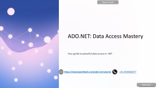ADONET-Data-Access-Mastery2
