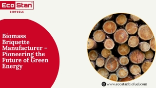 Biomass Briquette Manufacturer – Pioneering the Future of Green Energy