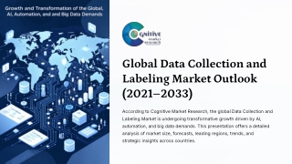 Data Collection and Labeling Market Report
