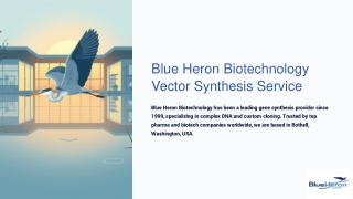 Blue-Heron-Biotechnology-Vector-Synthesis-Service