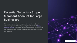 Essential Guide to a Stripe Merchant Account for Large Businesses