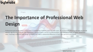 The Importance of Professional Web Design