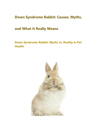 Down Syndrome Rabbit Myths, Causes & What’s Really Going On